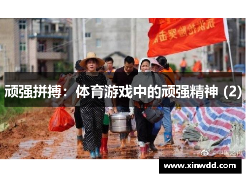 顽强拼搏：体育游戏中的顽强精神 (2)